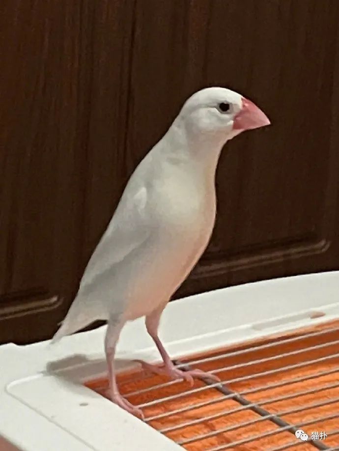 沙雕图当我和处女座男生分手后竟然收到这个