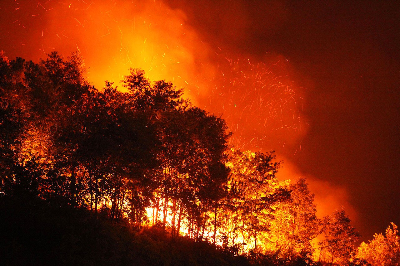 孙女一次发问已当爷爷的57岁济南人创业了用高科技为森林防火