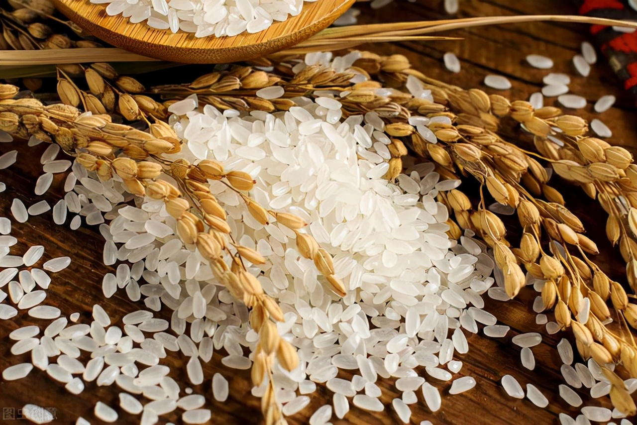 口感大不同,别瞎买|圆粒|大米|口感_新浪新闻