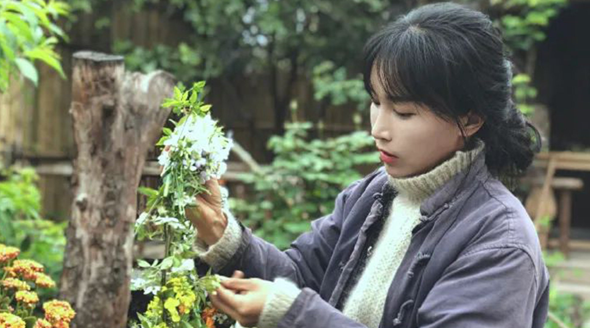 微念申请李子柒商标被驳回，粉丝：我们爱的是她本人，不是名字休闲区蓝鸢梦想 - Www.slyday.coM