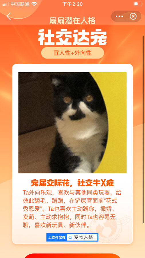 我这个社恐究极患者居然有一只🐮社交牛X症的猫猫(σﾟ∀ﾟ)σ休闲区蓝鸢梦想 - Www.slyday.coM