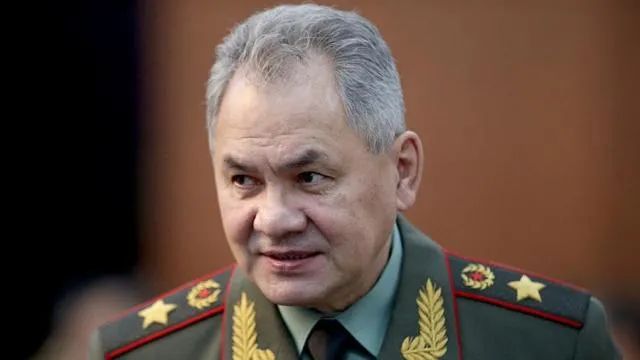 绍伊古 资料图