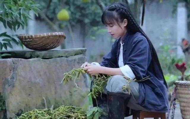 彻底“撕破脸”，李子柒正面硬刚资本，微念申请李子柒商标被驳回休闲区蓝鸢梦想 - Www.slyday.coM