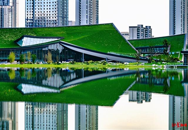 远望成都市美术馆新馆 如徐徐展开的巨大芙蓉花瓣|美术馆|成都市|徐徐