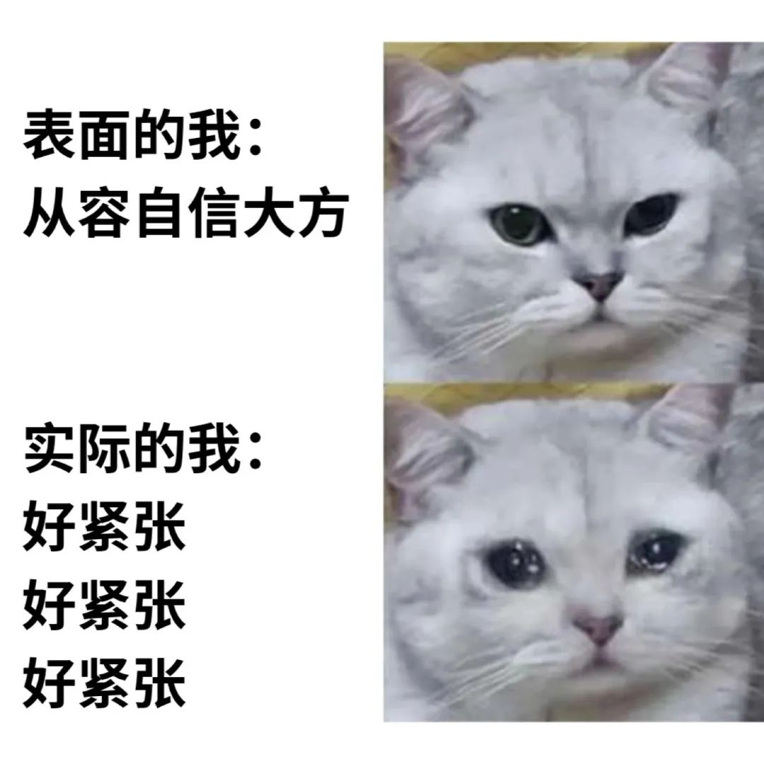 外向的人也有可能社恐看看这些表现你符合几条