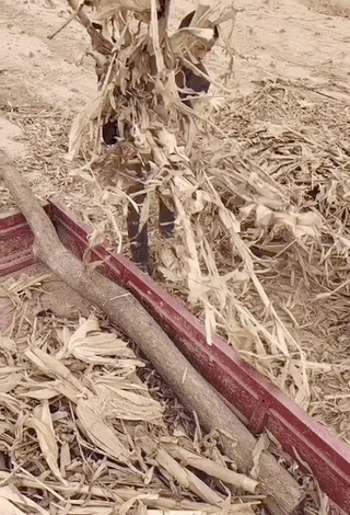 村里的第一个女研究生，不敢离开家乡休闲区蓝鸢梦想 - Www.slyday.coM