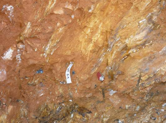 河南地勘35人10年耗资1.6亿,终发现31吨金矿,找金到底有多难?休闲区蓝鸢梦想 - Www.slyday.coM 河南地勘35人10年耗资1.6亿,终发现31吨金矿,找金到底有多难?休闲区蓝鸢梦想 - Www.slyday.coM