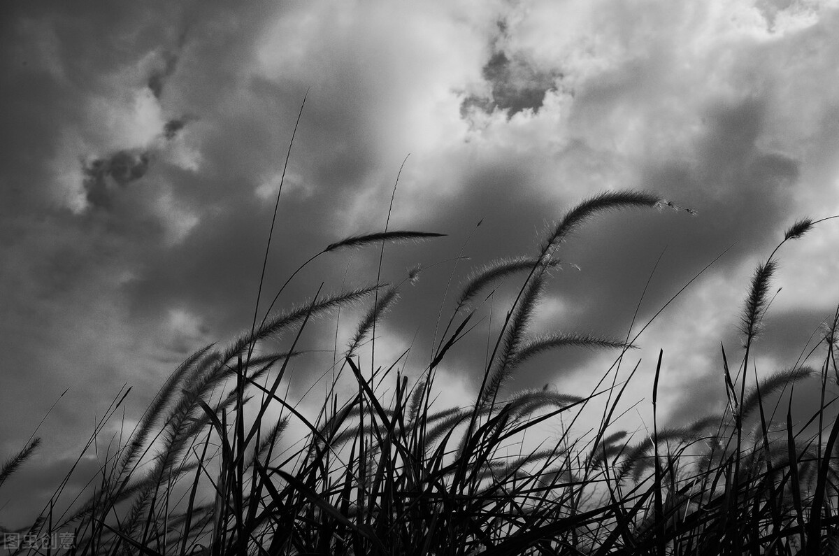 作恶多端魔教天阴教的前世今生天阴教的内线蒋天升