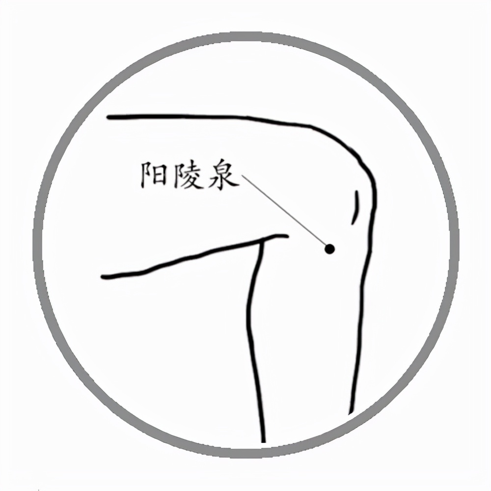 阳陵泉穴取穴:位于颈部枕骨之下,胸锁乳突肌与斜方肌上端之间的凹陷处