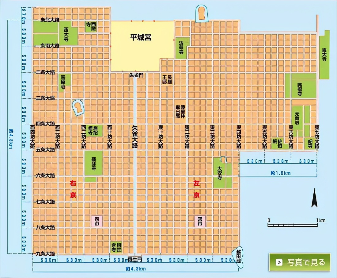 小"日本"成为网红流量密码,中国人不配文化自信?
