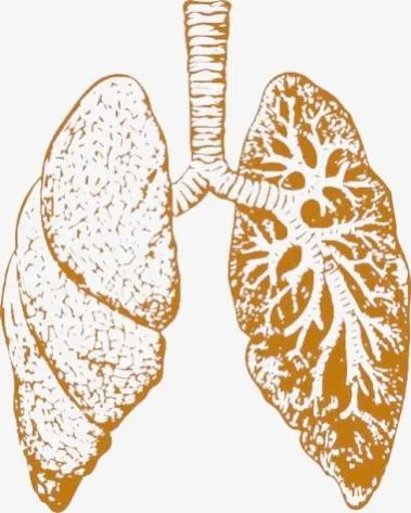 依靠人工肺生存8天后接受肺移植成功,极危重患者闯过“鬼门关”休闲区蓝鸢梦想 - Www.slyday.coM 依靠人工肺生存8天后接受肺移植成功,极危重患者闯过“鬼门关”休闲区蓝鸢梦想 - Www.slyday.coM