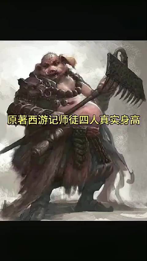西游记师徒四人身高对比
