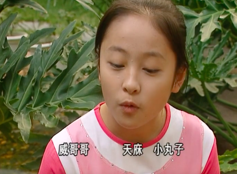 左羚子饰演的小丸子的最后一集是《寻找初恋情人》.