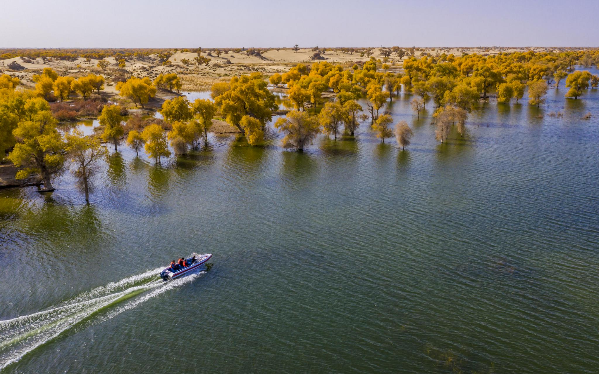 10月27日,尉犁县罗布淖尔国家湿地公园管理中心的工作人员驾驶快艇