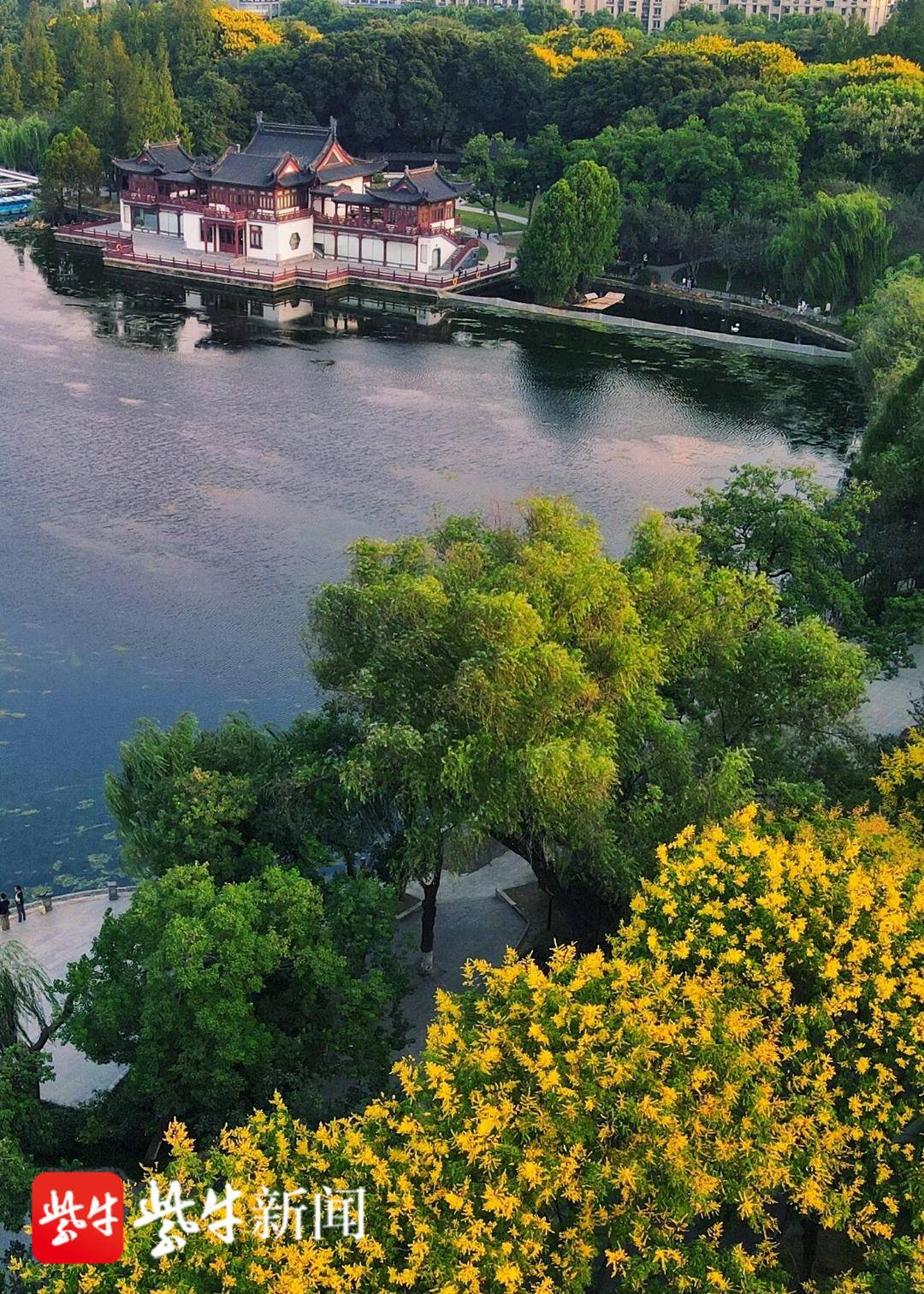 南京最美秋景即将上线她们就藏在这份赏秋攻略里