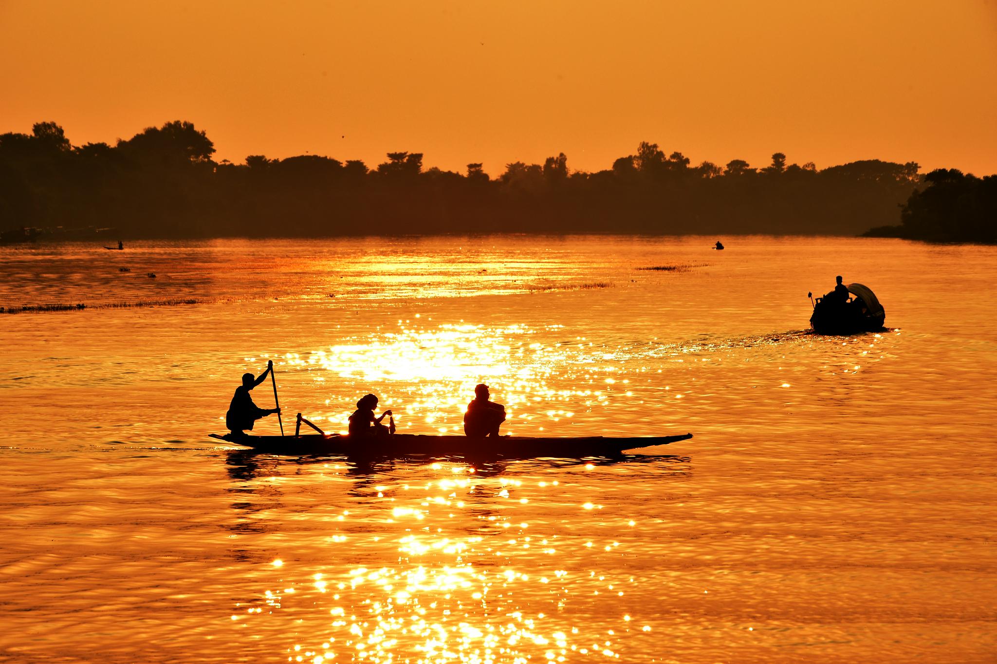 孟加拉国湿地捕鱼忙