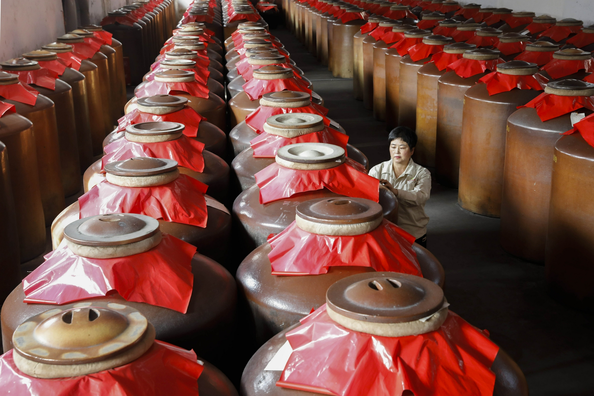 河南宝丰:深秋时节酿酒忙