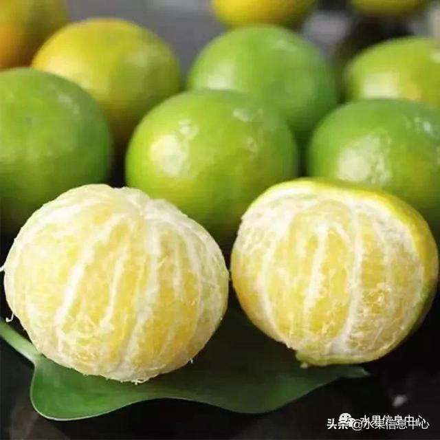 柑橘产地图鉴，最全面的柑橘指南大解析|湖北省_新浪新闻