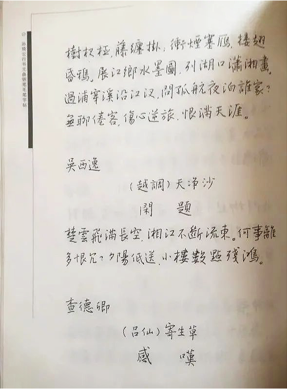 孙晓云硬笔书法曝光如此精到
