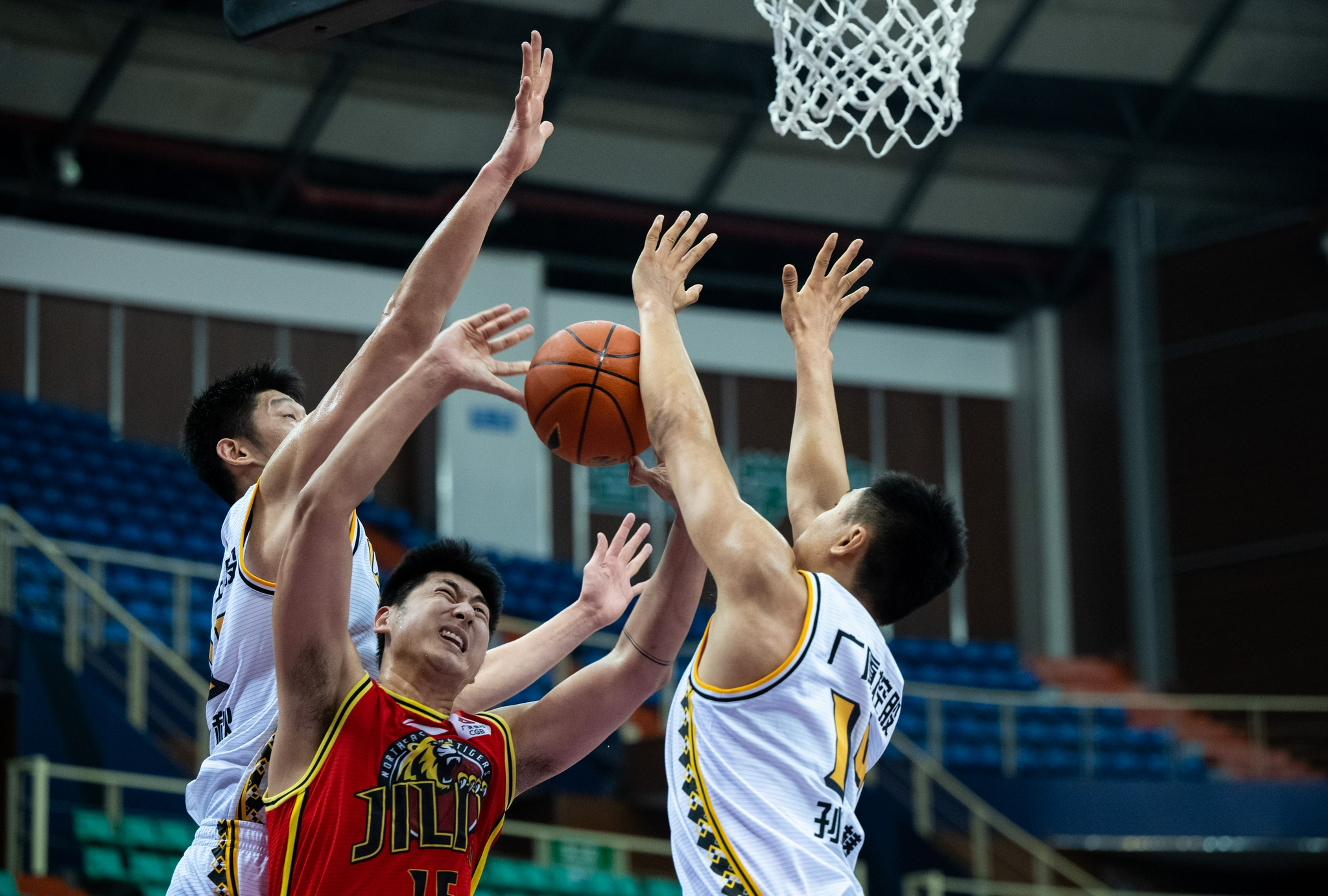 篮球——cba第一阶段:浙江广厦控股队胜九台农商银行队