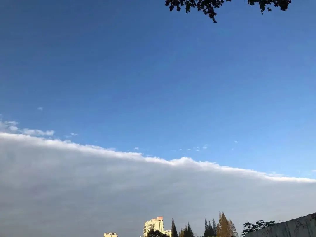 图集申城今天出现的壮观的半边天云你看到了吗