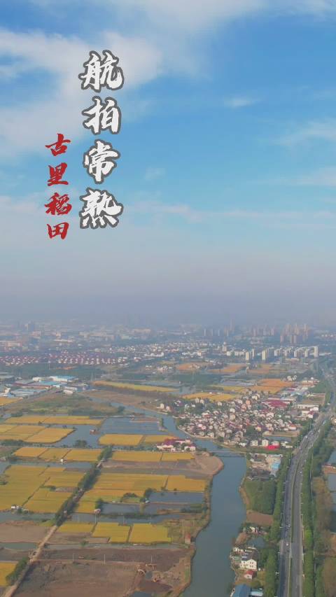 岁岁丰收常熟田