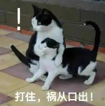 别人发面她发酵，怎么当上快手一姐的？休闲区蓝鸢梦想 - Www.slyday.coM