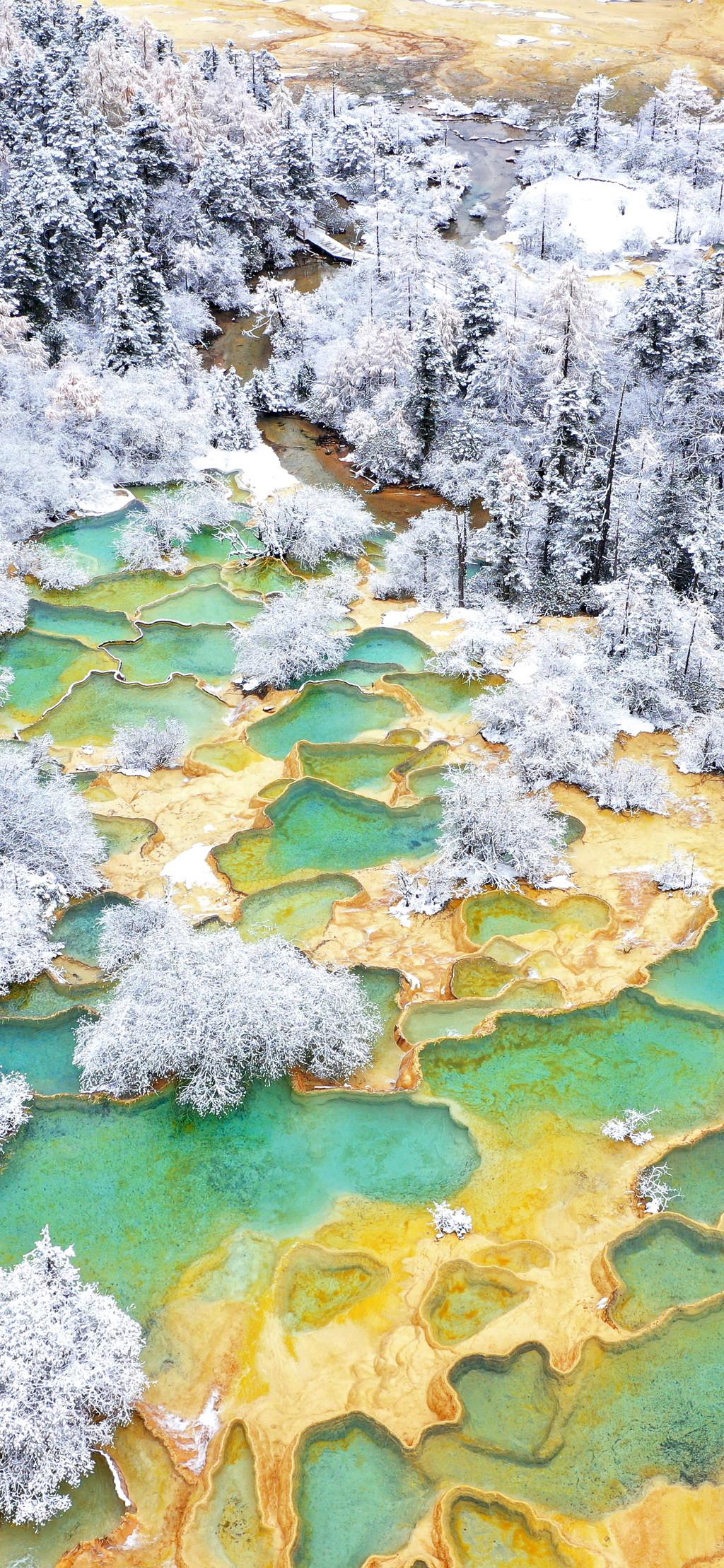 雪中黄龙景区如仙境,看钙华池与白雪融合之美!