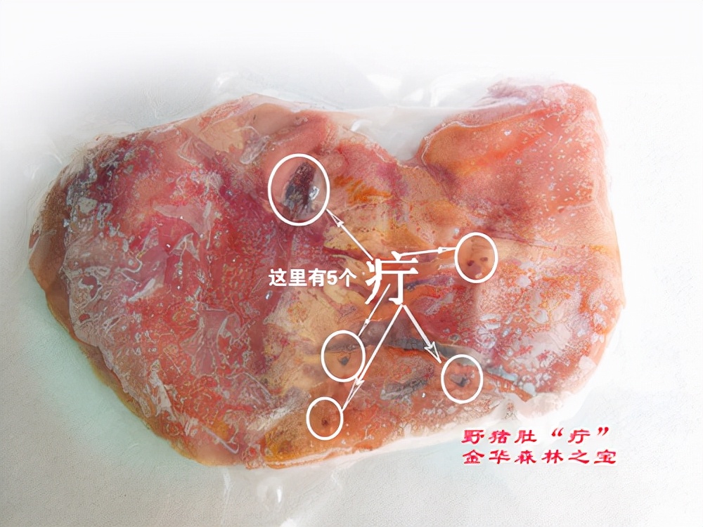 野猪|蛇毒|野猪肚_新浪新闻