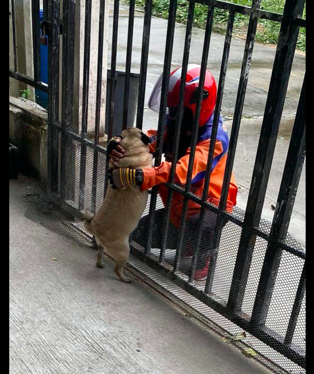 女孩疯狂网上购物,只为让快递员来撸狗,而他的一句话让人破防了休闲区蓝鸢梦想 - Www.slyday.coM 女孩疯狂网上购物,只为让快递员来撸狗,而他的一句话让人破防了休闲区蓝鸢梦想 - Www.slyday.coM