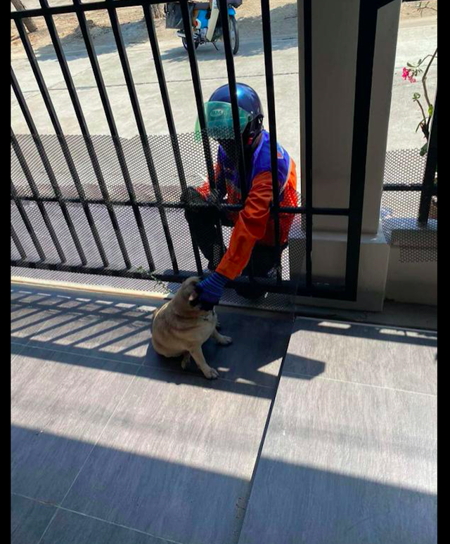 女孩疯狂网上购物,只为让快递员来撸狗,而他的一句话让人破防了休闲区蓝鸢梦想 - Www.slyday.coM 女孩疯狂网上购物,只为让快递员来撸狗,而他的一句话让人破防了休闲区蓝鸢梦想 - Www.slyday.coM