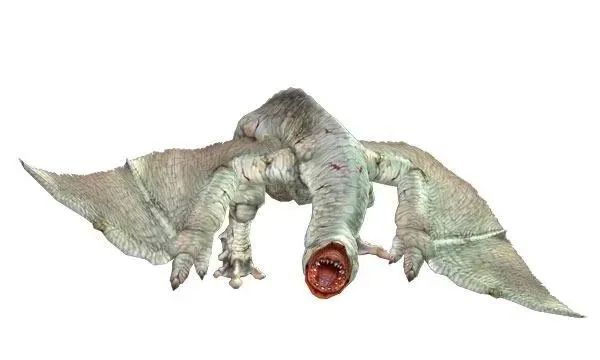 沙丘里的沙虫可能就在你家海水鱼缸里