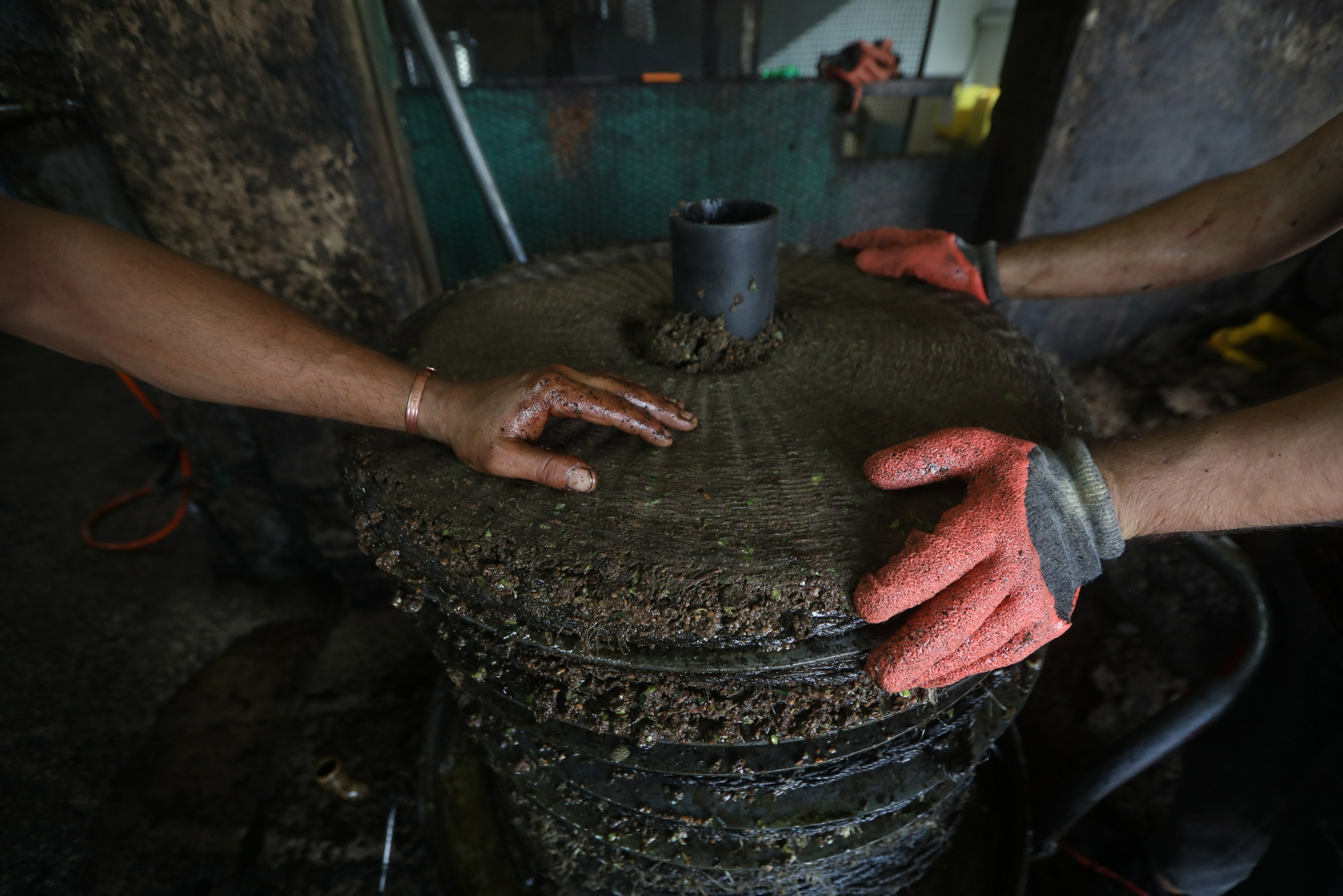 古法压榨橄榄油