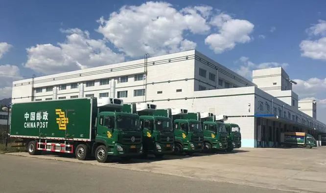 中邮消费金融好下款吗 中邮贷款申请条件解析