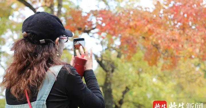 奖金拨比号称高达80% 道唐商城五级代理有何