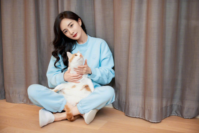 杨幂公开最新行程受期待化身撸猫达人超有爱文案暖心受好评