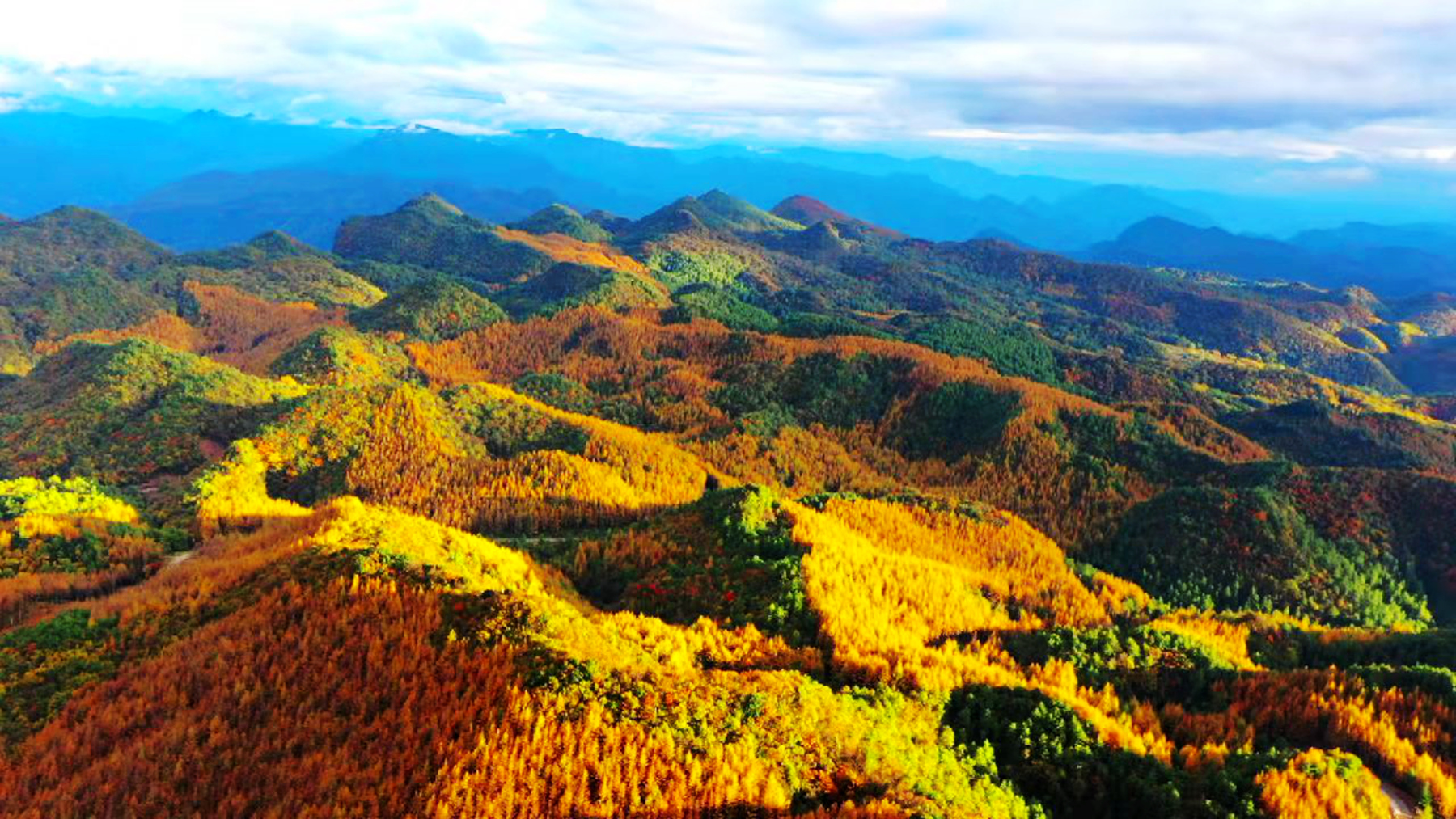 广元曾家山|曾家山|红叶_新浪新闻
