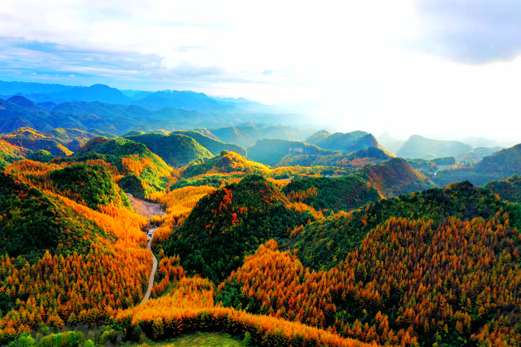 广元曾家山|曾家山|红叶_新浪新闻