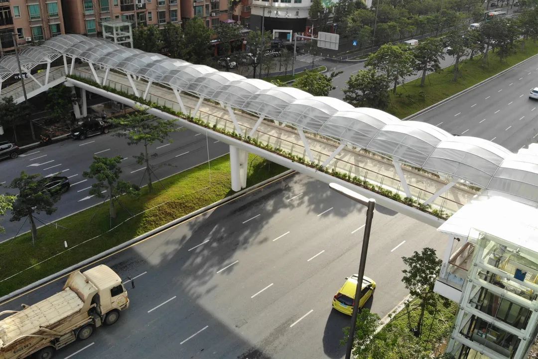 深圳这3座天桥开放使用了