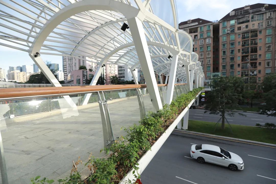 深圳这3座天桥开放使用了