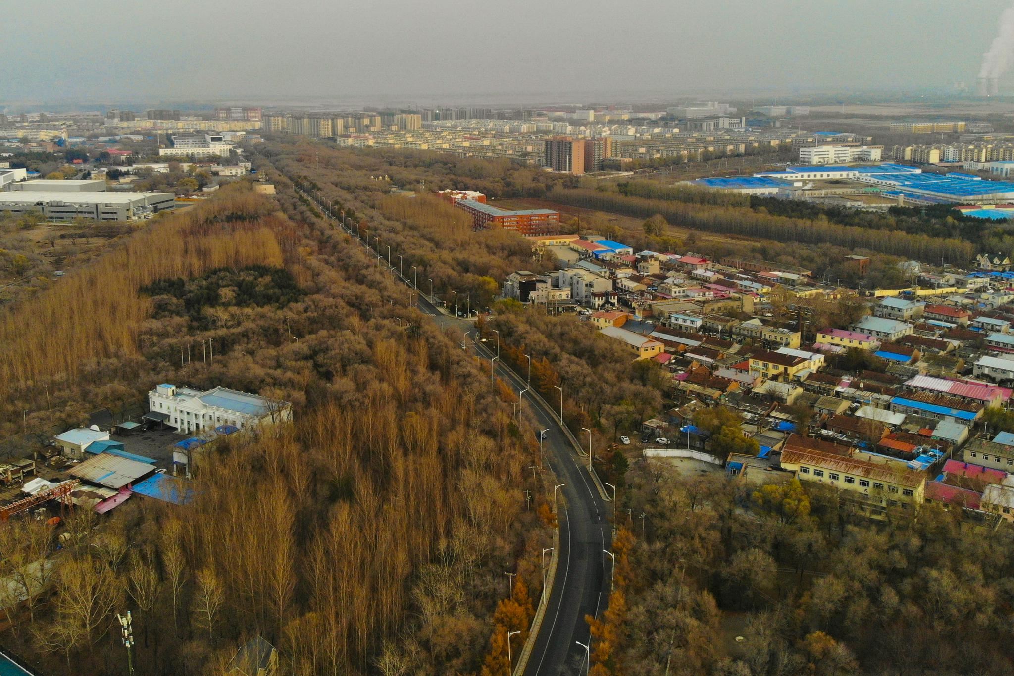 哈尔滨新增2例本土新冠肺炎确诊病例平房区城区实施严格管控