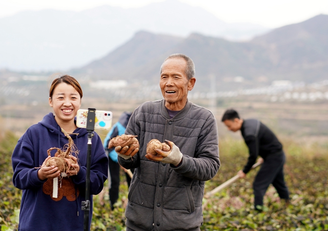 尾款人越夜越剁手 “双11”越下沉越有戏