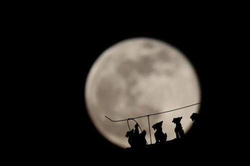 紫金山天文台11月天宇众星捧月将上演多部星空大片