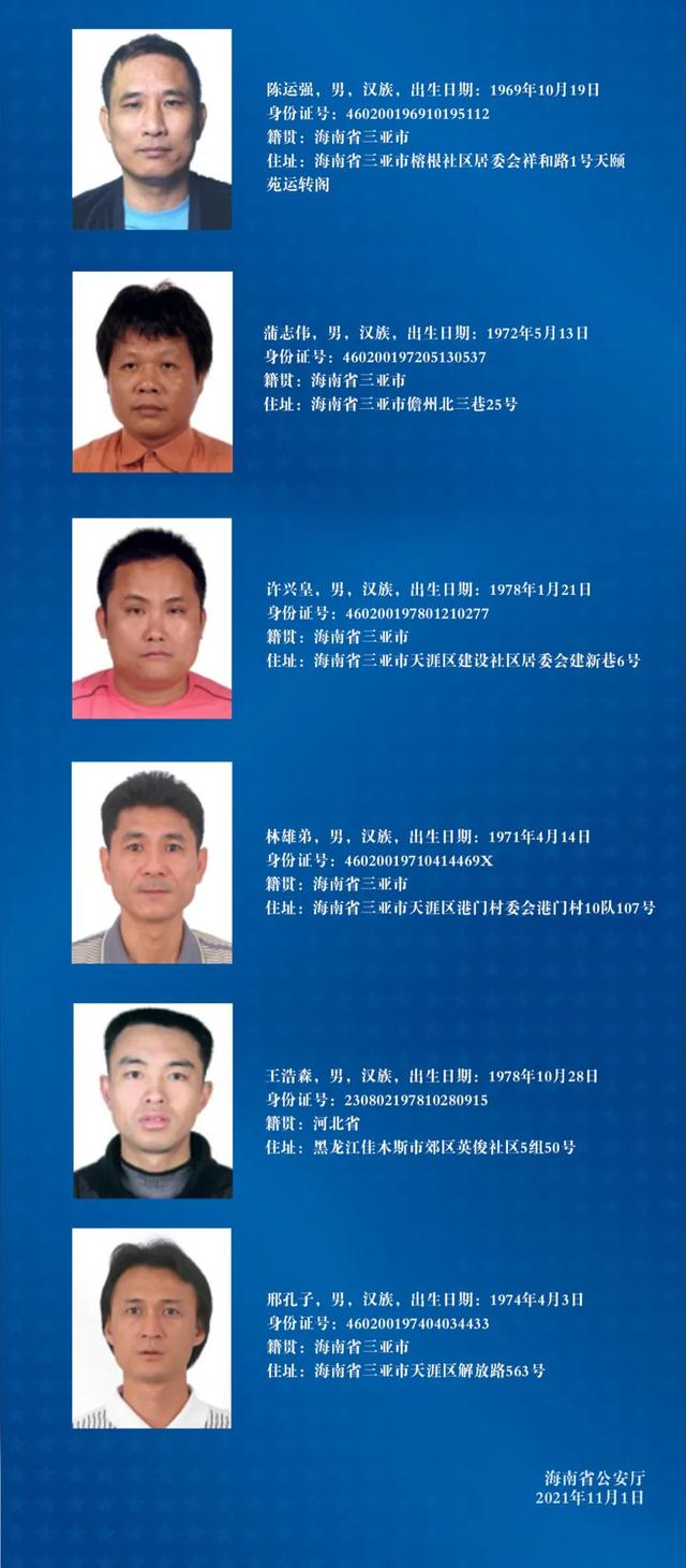 抓捕视频曝光！三亚杨家武涉黑犯罪团伙覆灭，涉案估值约10亿余元休闲区蓝鸢梦想 - Www.slyday.coM