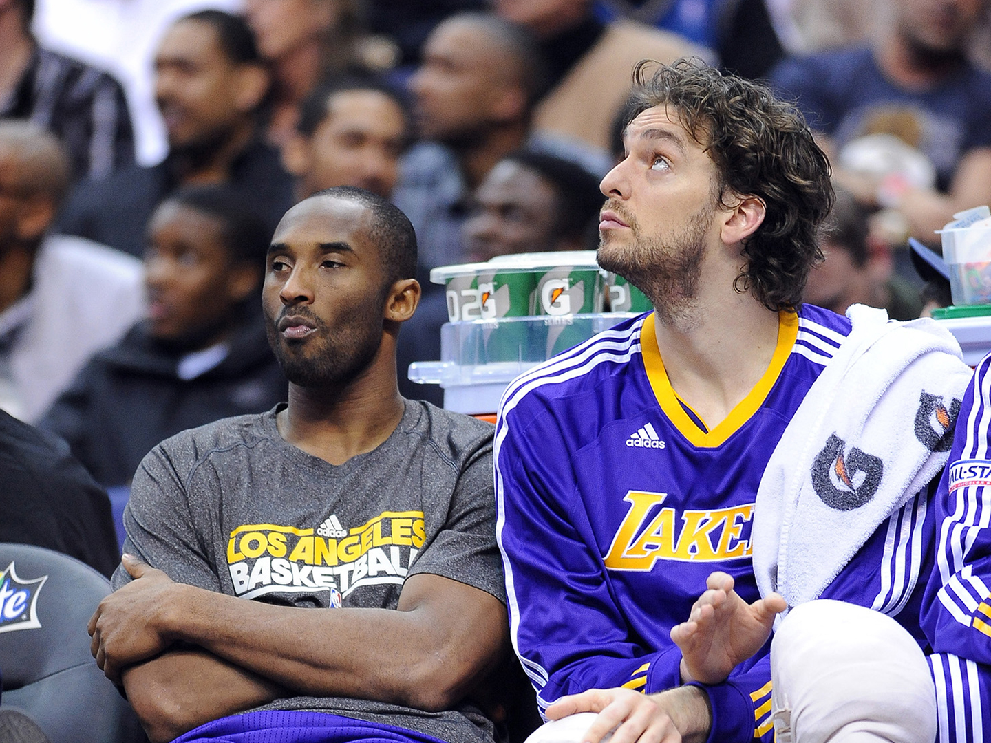 加索尔用心用情,一生好兄弟|好兄弟|加索尔|科比_新浪新闻