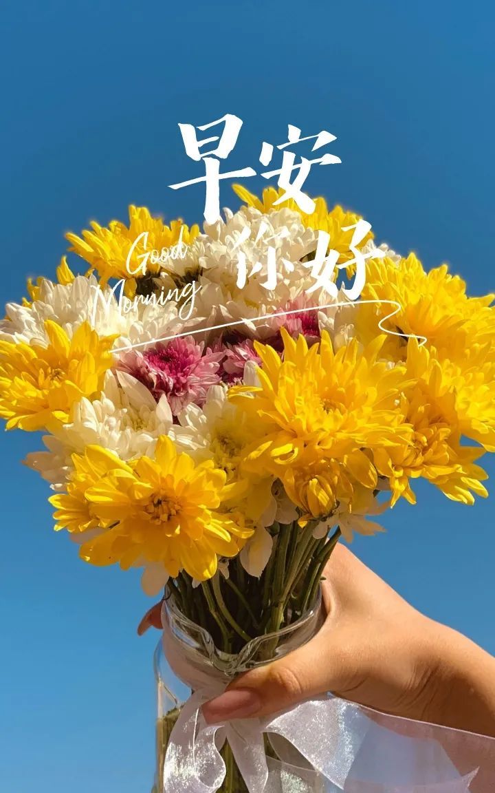 今日早安图片文案正能量语录