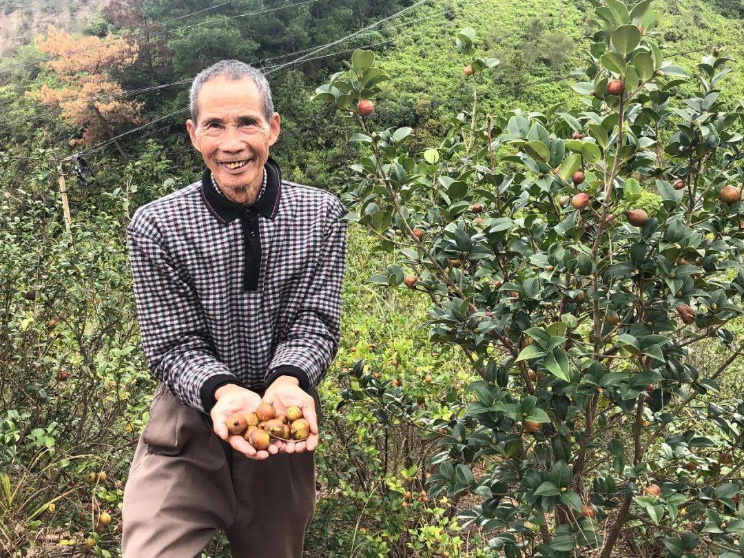 农村野生的山茶油卖120元一斤,网友说太贵了,4个原因告诉你答案休闲区蓝鸢梦想 - Www.slyday.coM 农村野生的山茶油卖120元一斤,网友说太贵了,4个原因告诉你答案休闲区蓝鸢梦想 - Www.slyday.coM