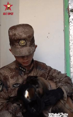 兵哥哥接受采访,军犬突然撒娇,黏人小动作萌翻全网!
