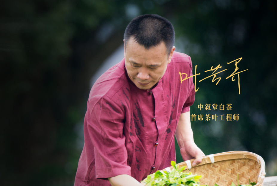 叶芳养老师,是来自福建宁德福鼎制茶世家的非遗传承大师(白茶制作技艺