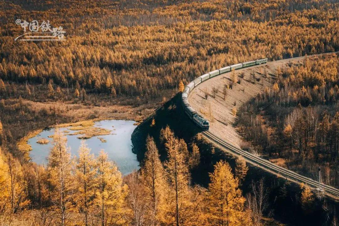 高清组图丨秋意正浓坐在火车上的你有没有注意到车窗外的景色